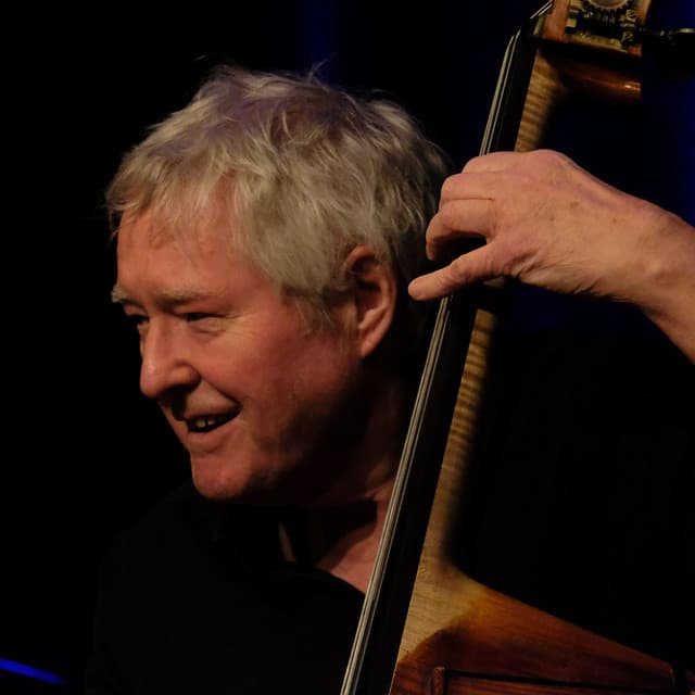 Arild Andersen artist profile image