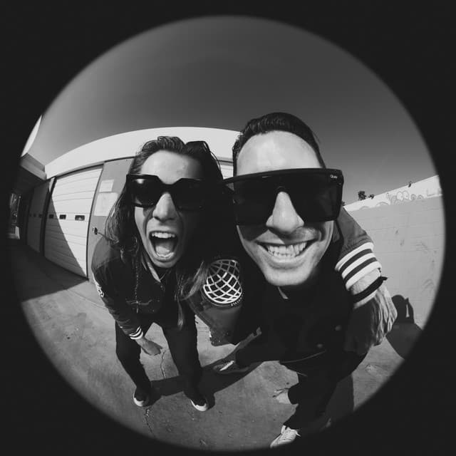 Stafford Brothers artist profile