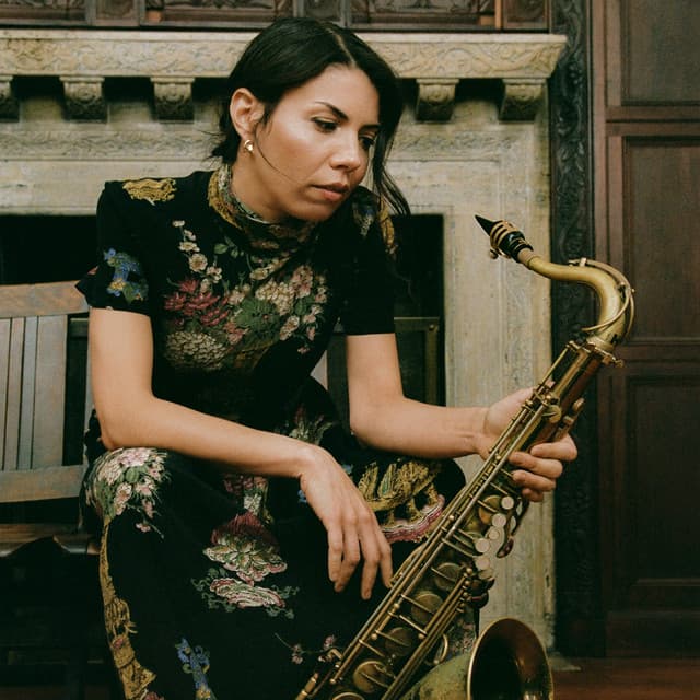 Melissa Aldana's artist profile image