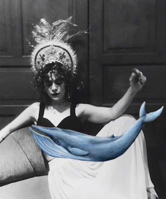 Daniela Escalante artist profile image