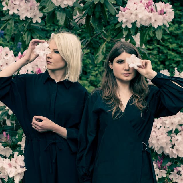 Smoke Fairies artist profile image