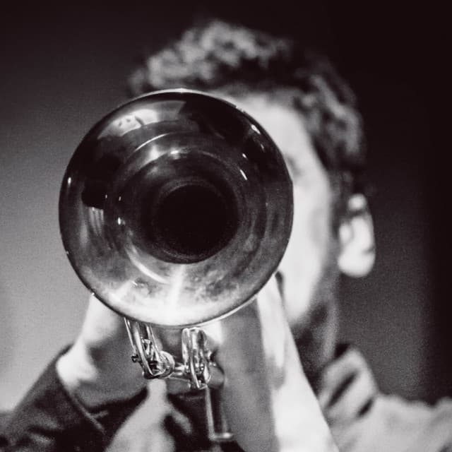 brass.beats artist profile image