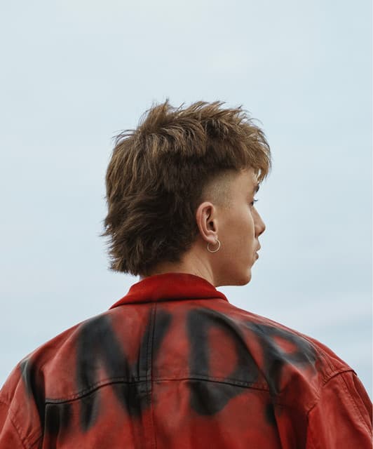 Walls artist profile image