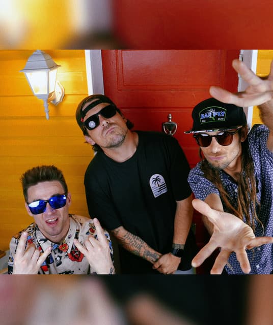 Drifting Roots artist profile image