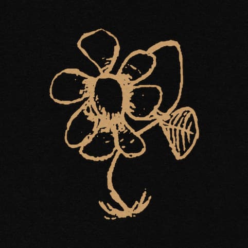 Saetia artist profile image