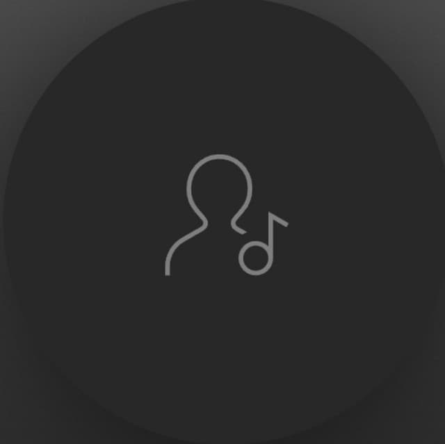 Ibra artist profile image