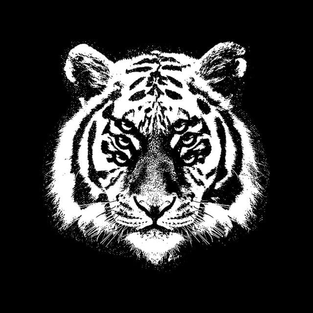 Royal Blood artist profile image