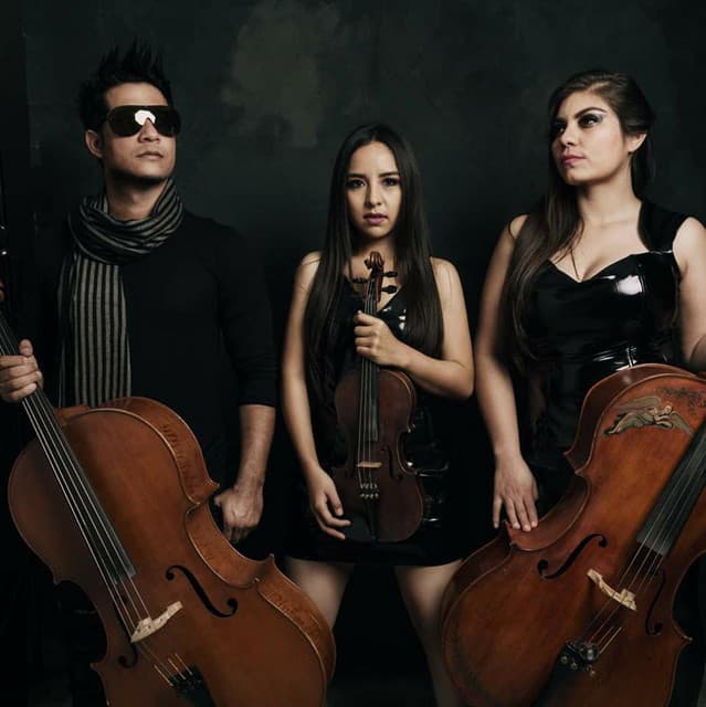 Tempus Quartet artist profile image