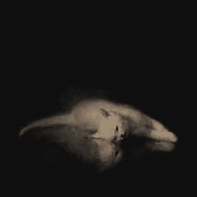 Qrystral artist profile image