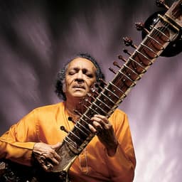 Ravi Shankar's artist profile image