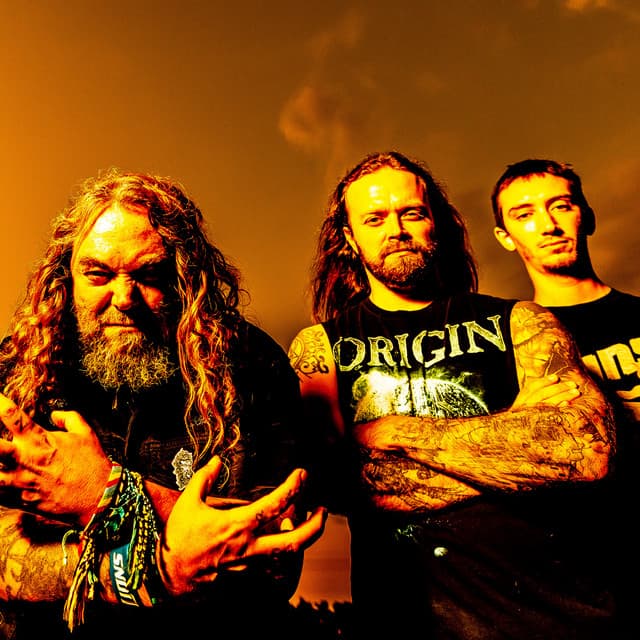 Soulfly artist profile image