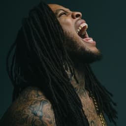 Waka Flocka Flame's artist profile image
