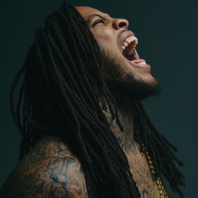 Waka Flocka Flame's artist profile image