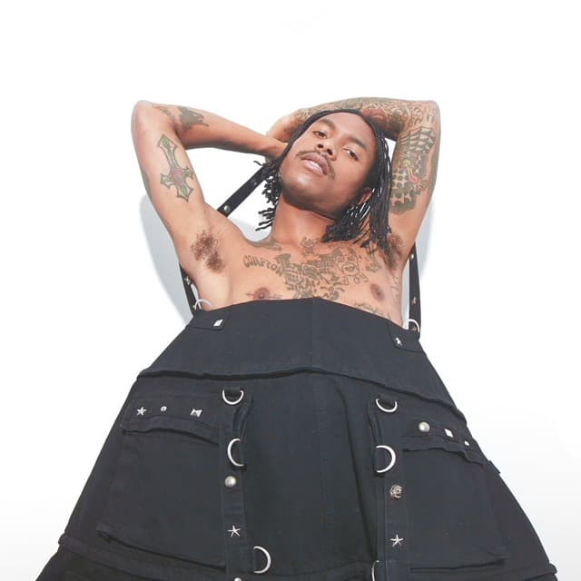 Steve Lacy's artist profile image