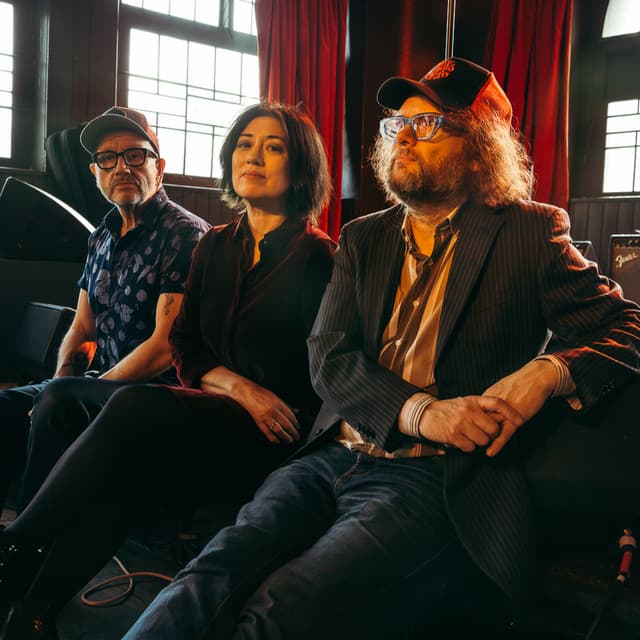 Miki Berenyi Trio artist profile image