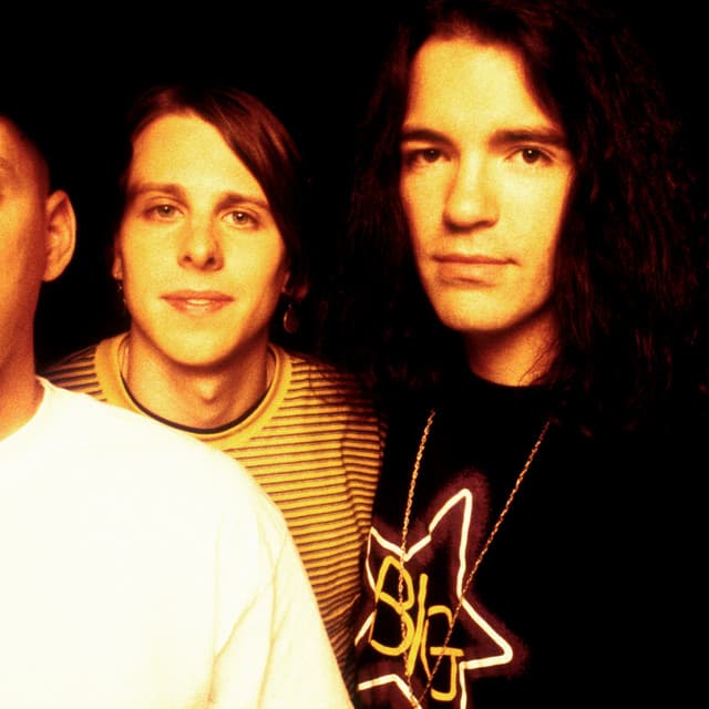The Posies artist profile image
