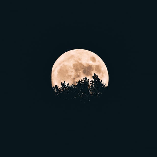 RA247 artist profile image