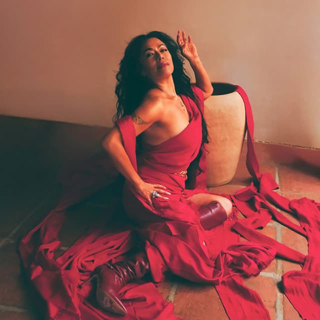 Lila Downs artist profile