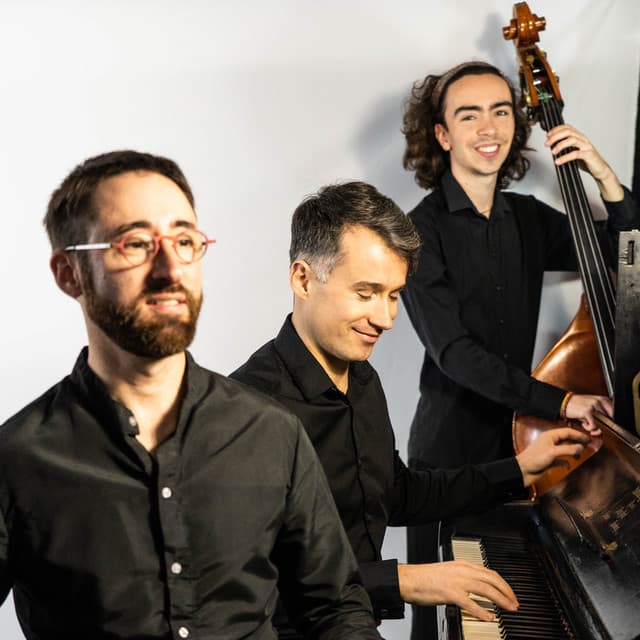 Armel Dupas Trio artist profile image