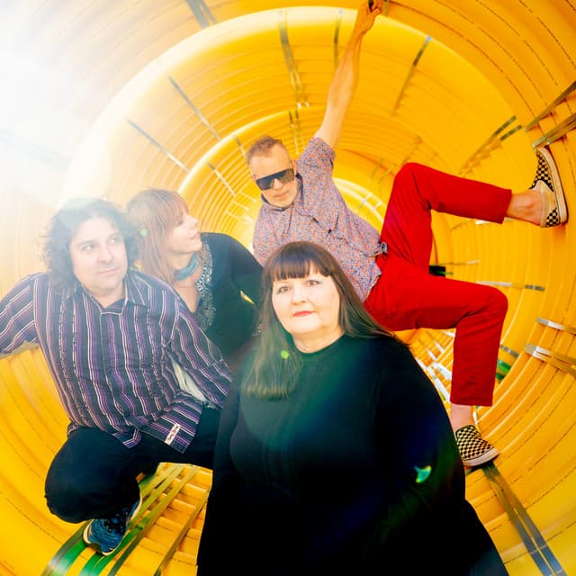 Pylon Reenactment Society artist profile image