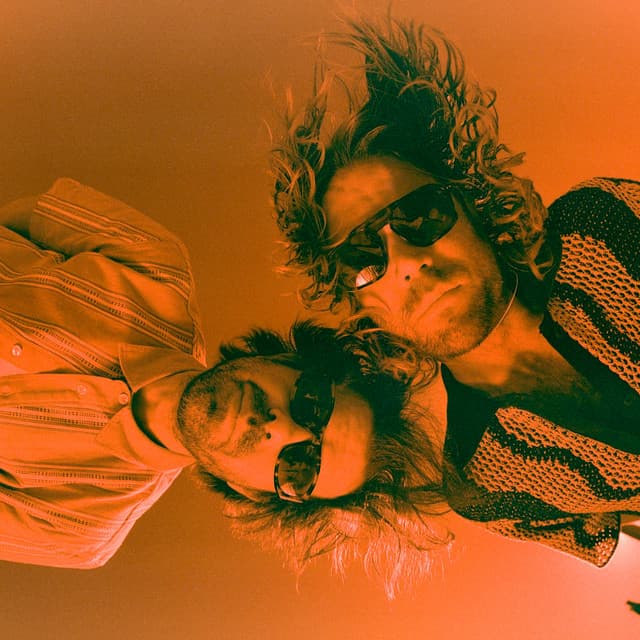 The Darcys's artist profile image