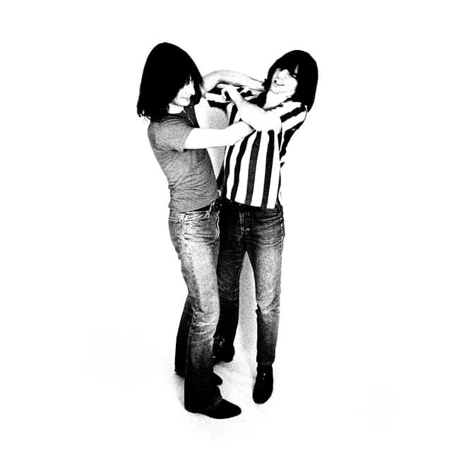 The Lemon Twigs artist profile image