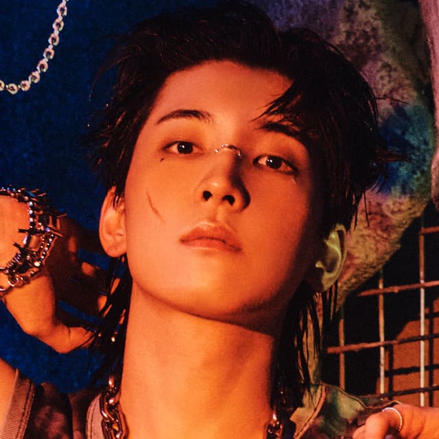 WONWOO artist profile image