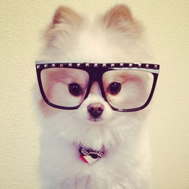 5L artist profile image