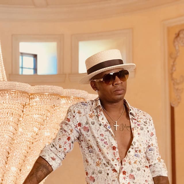 Plies's artist profile image