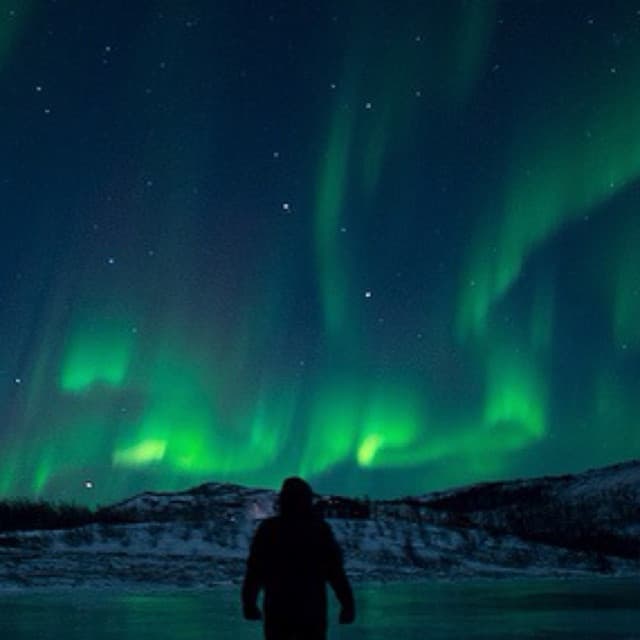 liduwarx artist profile image