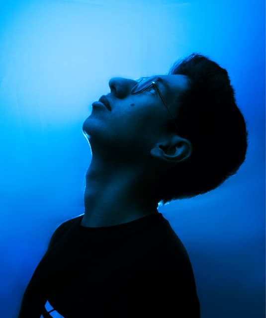 Breseb artist profile image