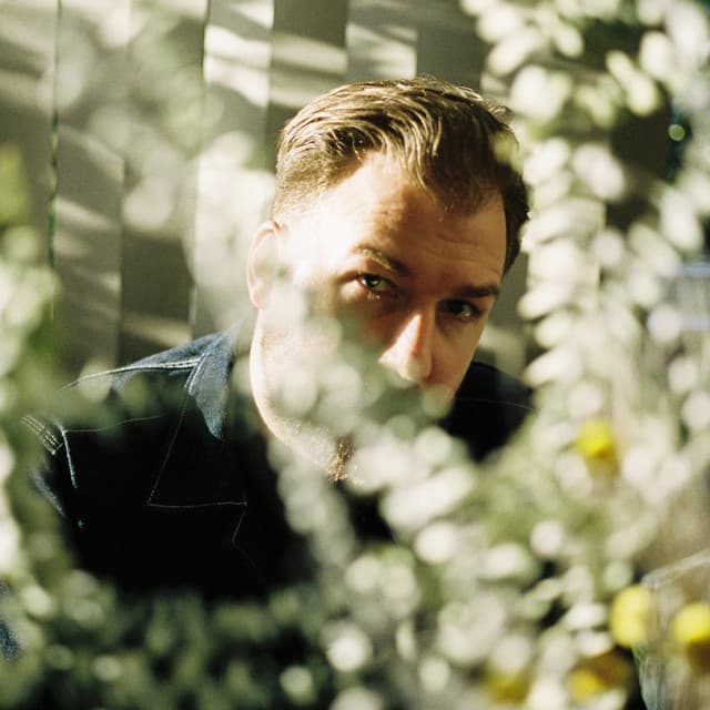 HIGH HØØPS artist profile image