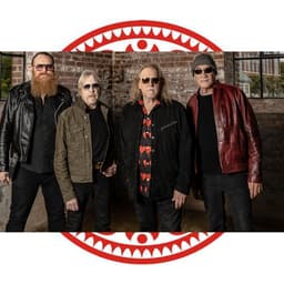 Gov't Mule's artist profile image