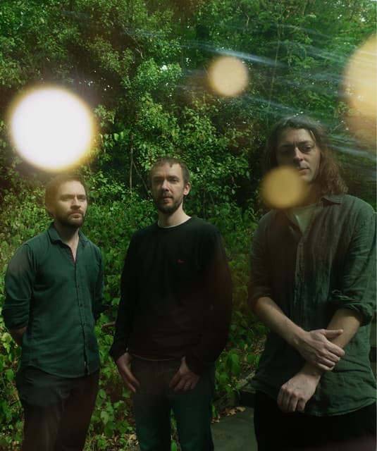 Mammal Hands artist profile