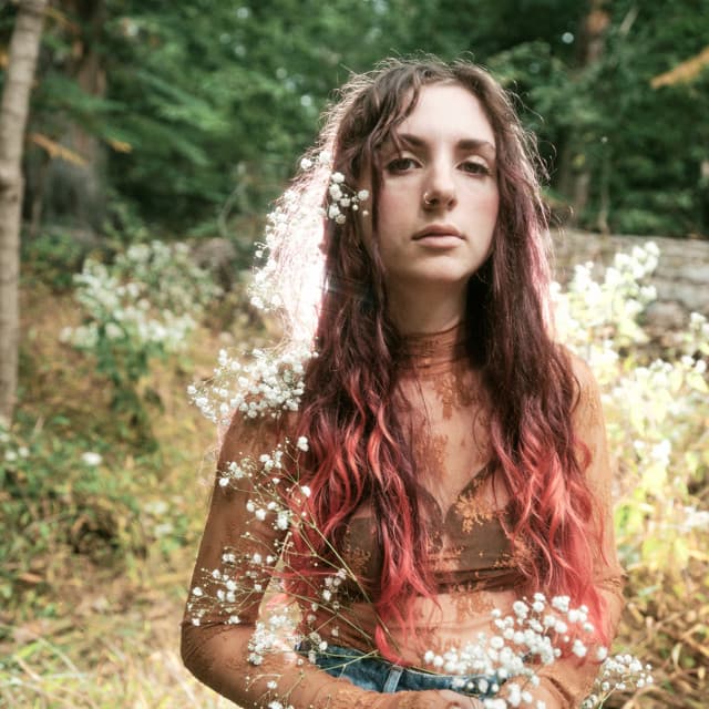 Harmony Woods artist profile image