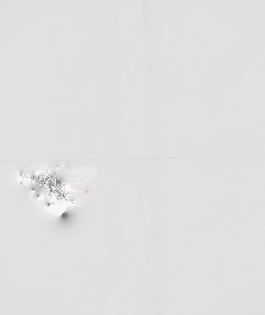 Sherane artist profile image