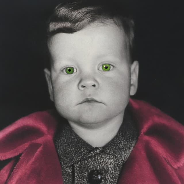 pdqb artist profile image