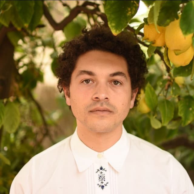 Mirror Tree's artist profile image