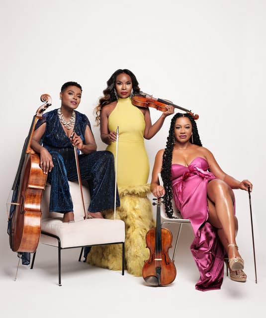 The String Queens artist profile image