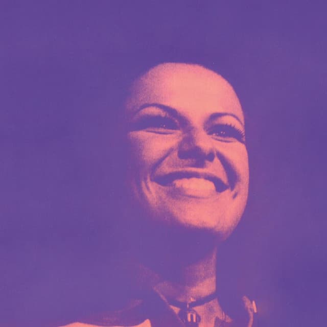 Elis Regina artist profile image