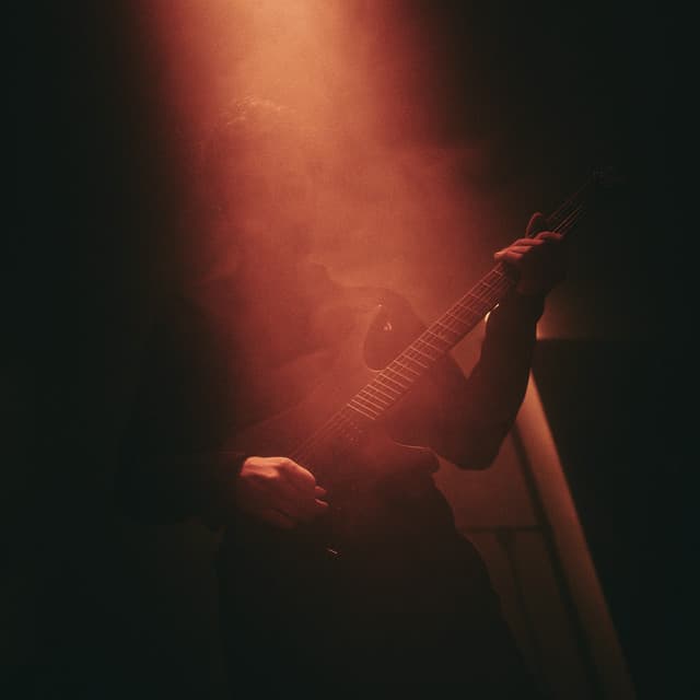 Plini artist profile