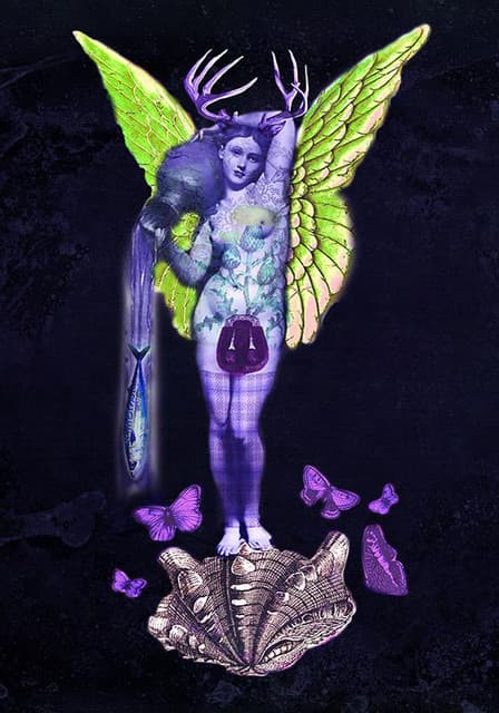 Shooglenifty artist profile