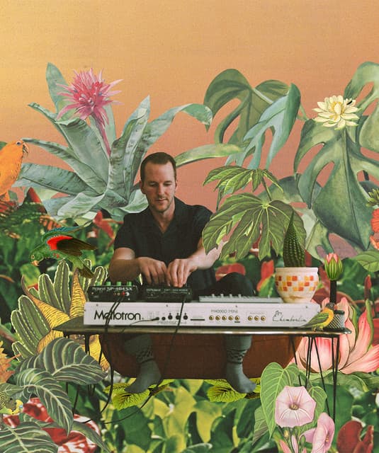 Monster Rally's artist profile image