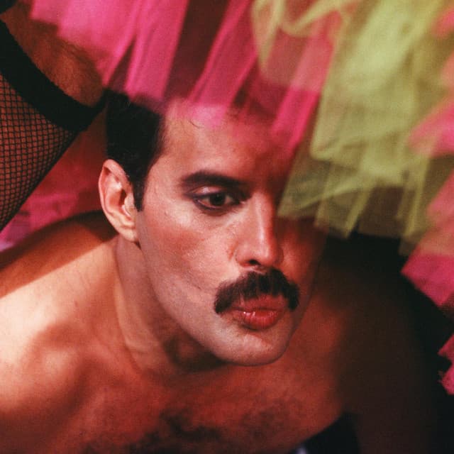 Freddie Mercury artist profile image