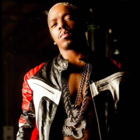 Sisqo artist profile