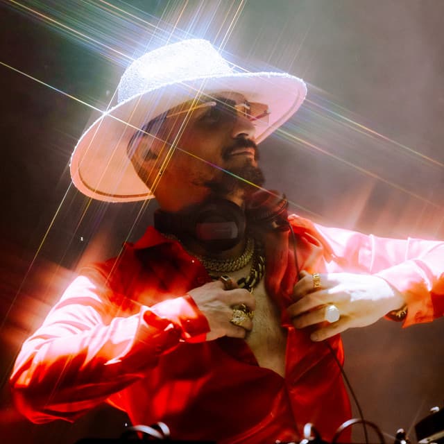 Disco Dom artist profile