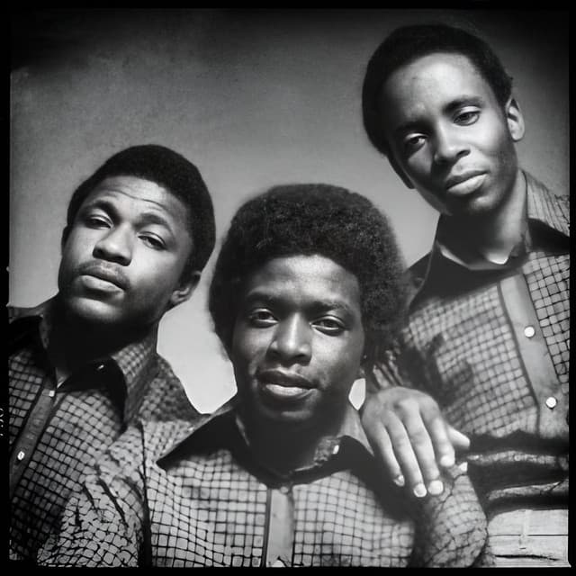 The Pioneers artist profile image