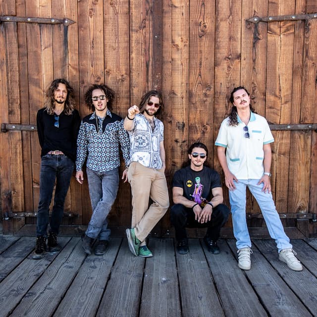 Dogs In A Pile's artist profile image