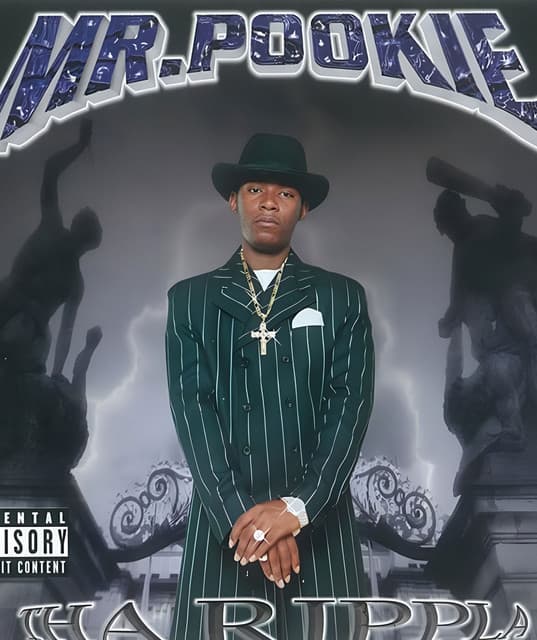 Mr. Pookie artist profile image