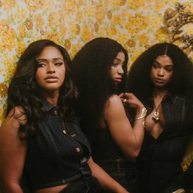 The Womack Sisters artist profile image